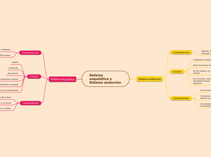 Sistema esquelético y Sistema endocrino