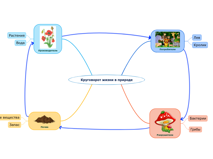 Круговорот жизни в природе