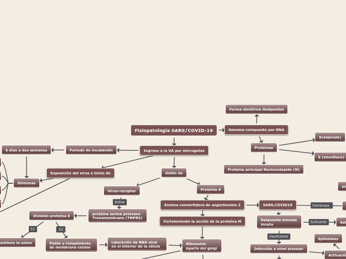 Fisiopatología SARS/COVID-19