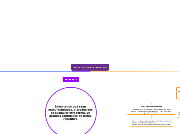 NIC 23 / SECCION 25 PARA PYMES