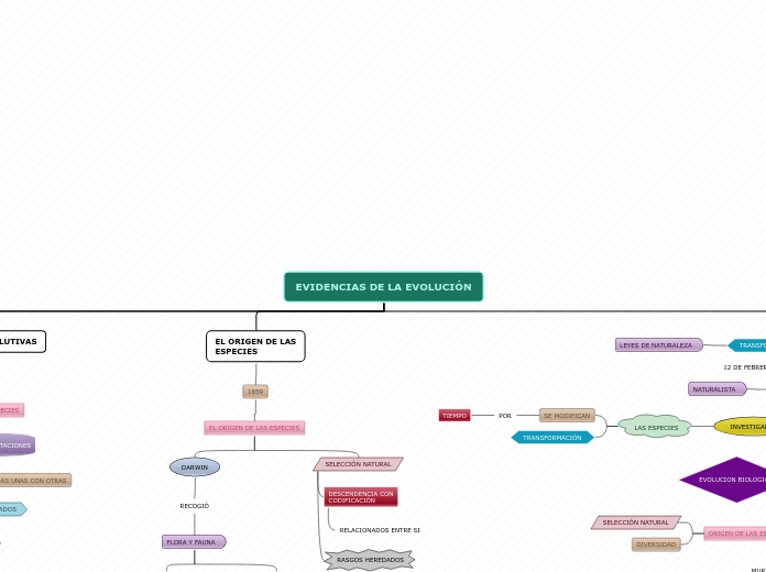 EVIDENCIAS DE LA EVOLUCIÓN - Mapa Mental