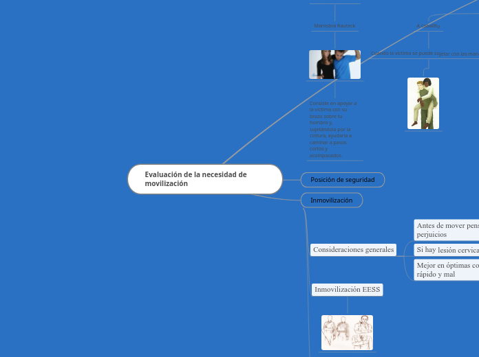 Evaluación de la necesidad de movilizac...- Mapa Mental