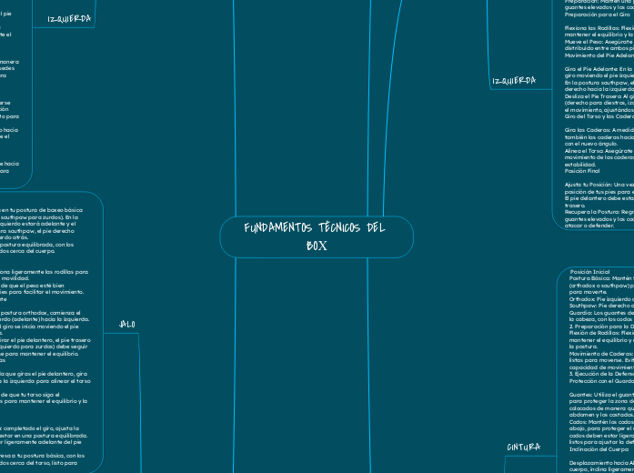 FUNDAMENTOS TÉCNICOS DEL BOX