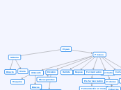 El pan - Mapa Mental