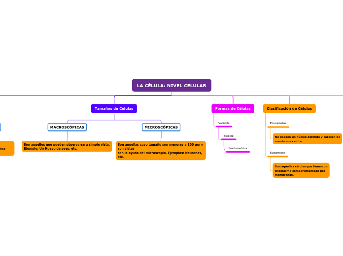 LA CÉLULA: NIVEL CELULAR