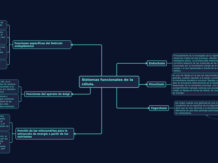 Sistemas funcionales de la célula.