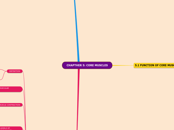 CHAPTHER 5: CORE MUSCLES