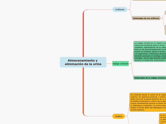 Almacenamiento y eliminación de la orina