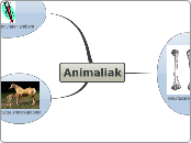 Animaliak - Mind Map