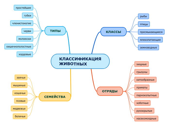 КЛАССИФИКАЦИЯ
ЖИВОТНЫХ - Мыслительная карта