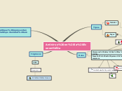 Sample Mind Map