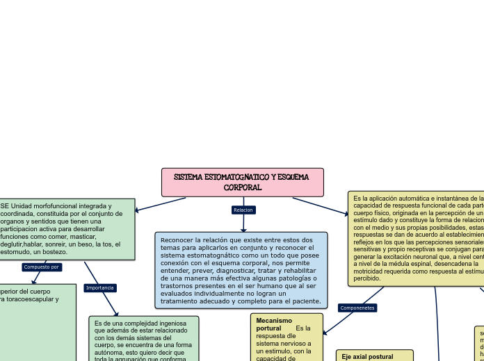 SISTEMA ESTOMATOGNATICO Y ESQUEMA CORPO...- Mapa Mental