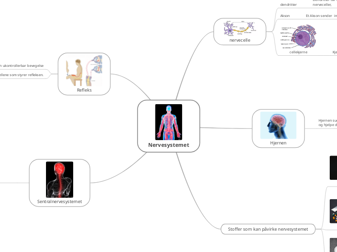 Nervesystemet - Tankekart