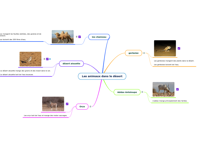 Les animaux dans le désert