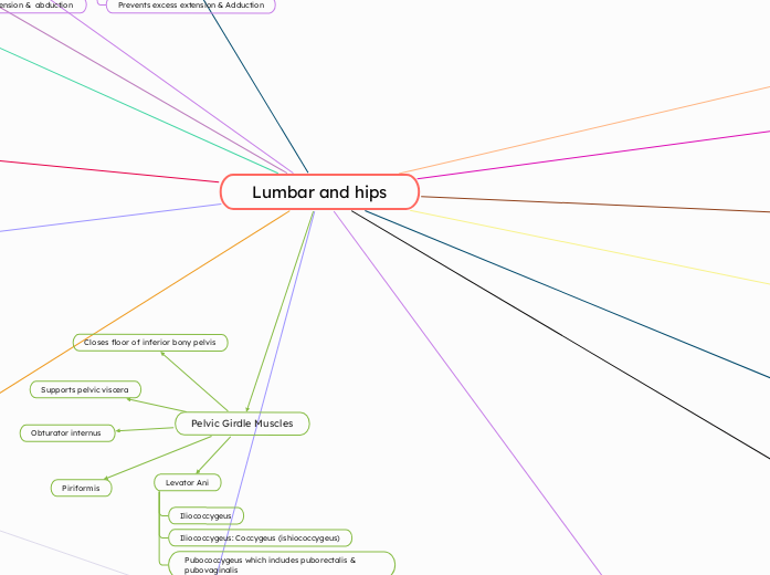 Lumbar and hips