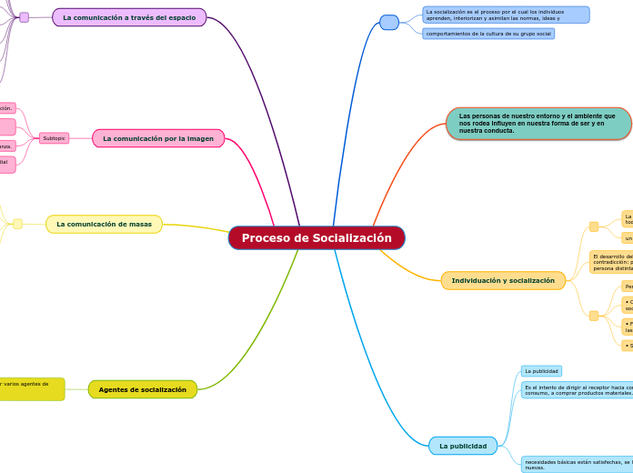 Proceso de Socialización