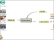 Estabilidade - Mapa Mental