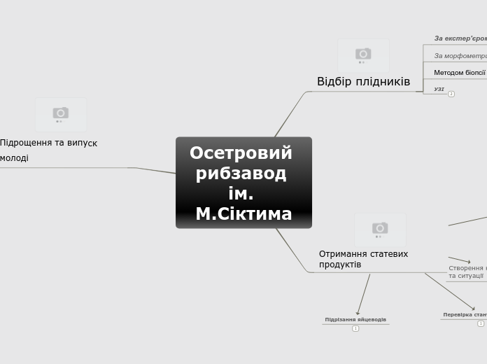 Осетровий рибзавод ім. М.Сіктима - Mind Map