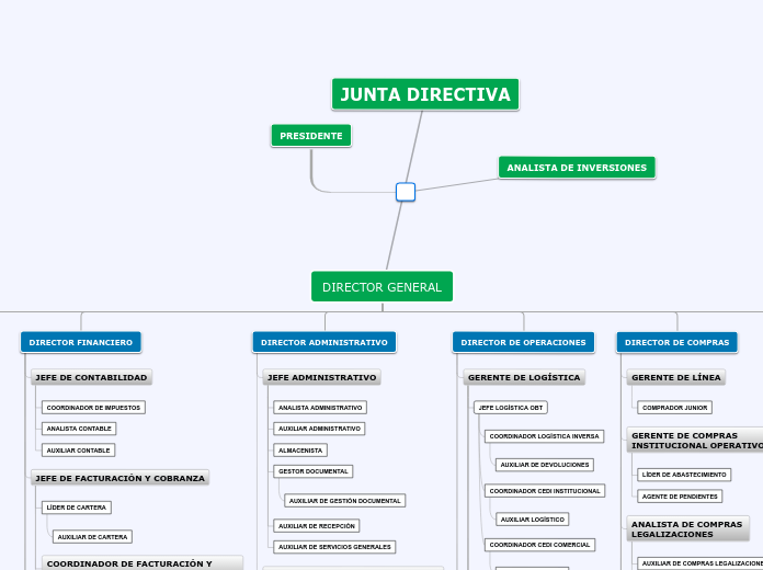 DIRECTOR GENERAL - Mapa Mental