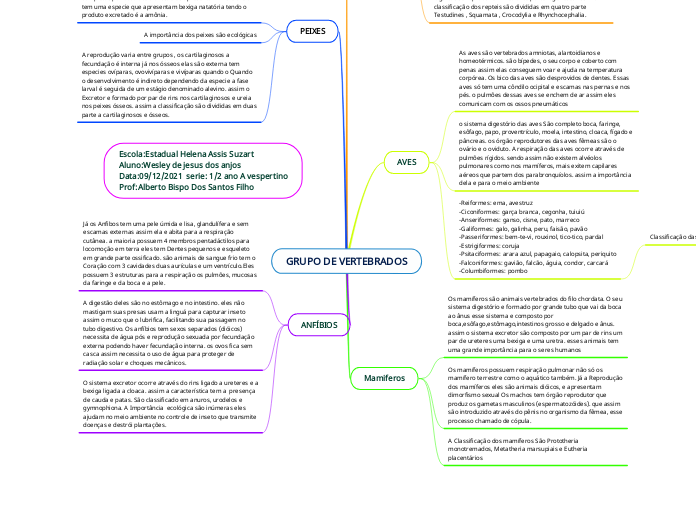 GRUPO DE VERTEBRADOS - Mapa Mental