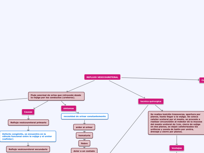 REFLUJO VESICOURETERAL - Mapa Mental