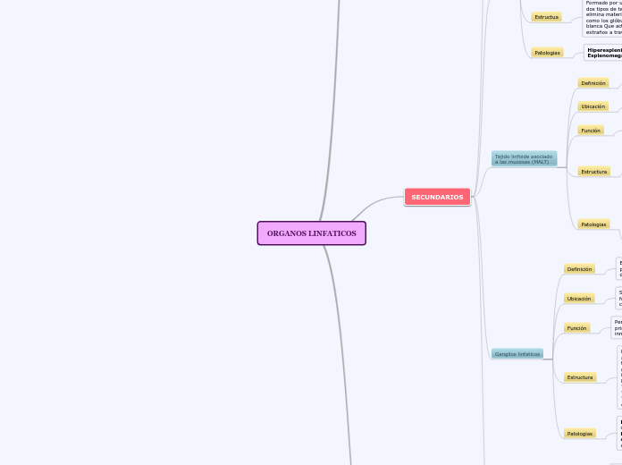 ORGANOS LINFATICOS