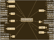 Chord Protocol - Mapa Mental