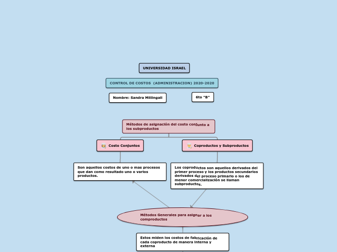 Métodos de asignación del costo conjunt...- Mapa Mental