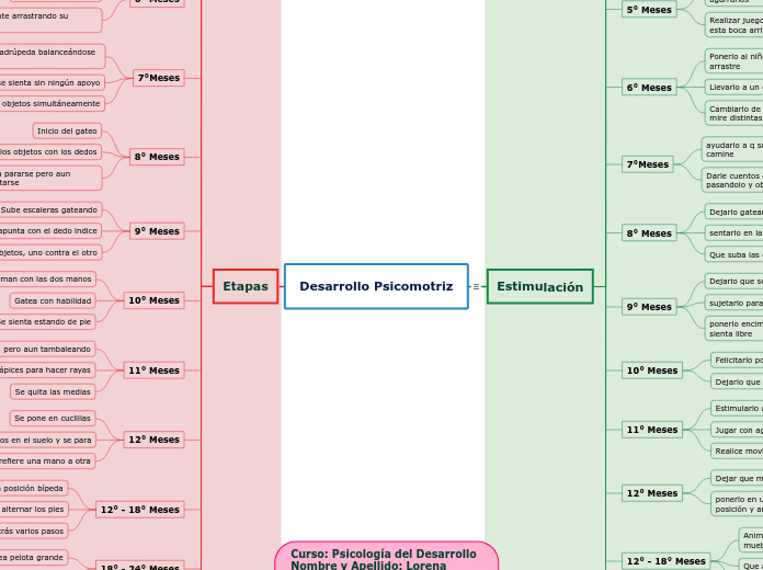 Desarrollo Psicomotriz