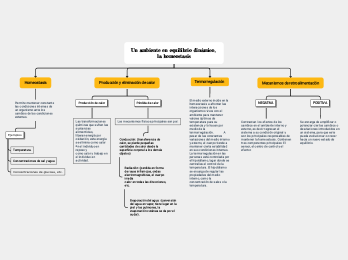 Un ambiente en equilibrio dinámico, la homeostasis