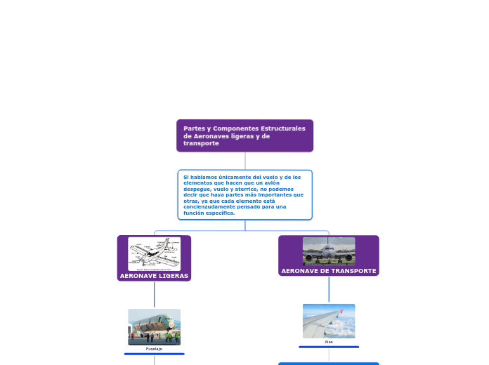 Partes y Componentes Estructurales de A...- Mapa Mental