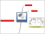 Lobulo Frontal