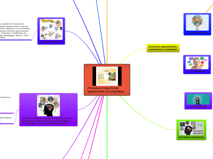 procesos cognoscitivos superiores o complejos
