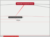 Stakeholder Management Theory