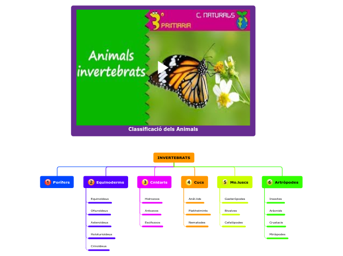 Classificació dels Animals - Mappa Mentale