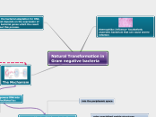 Natural Transformation in Gram negative bacteria