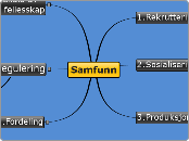 Samfunn og funksjonar