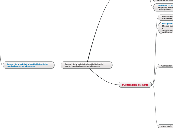 Control de la calidad microbiológico de...- Mapa Mental