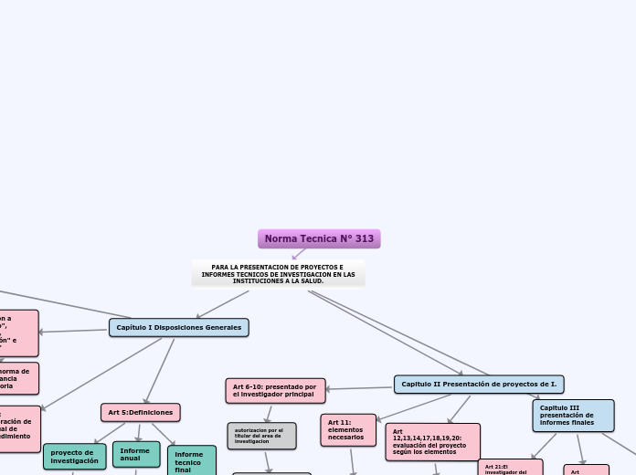 Norma Tecnica N° 313 - Mapa Mental