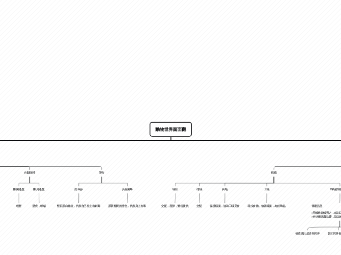 動物世界面面觀 - 思維導圖
