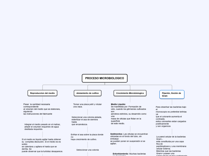 PROCESO MICROBIOLOGICO - Mapa Mental