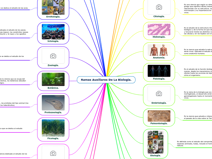 Ramas Auxiliares De La Biología.