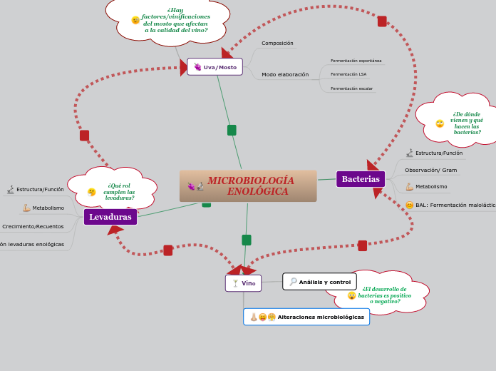 MICROBIOLOGÍA      ENOLÓGICA - Mapa Mental