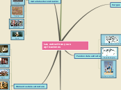 Las estructiras y sus aplicaciones - Mapa Mental