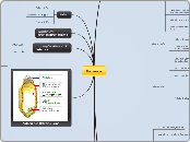 Getreide - Mindmap