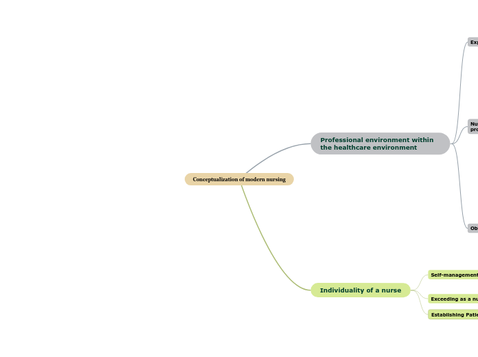 Conceptualization of modern nursing