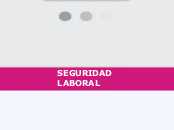 SEGURIDAD LABORAL