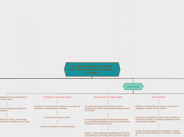 reproducción celular:cromatina, ciclo c...- Mapa Mental