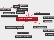 Structure of CSR thematic network