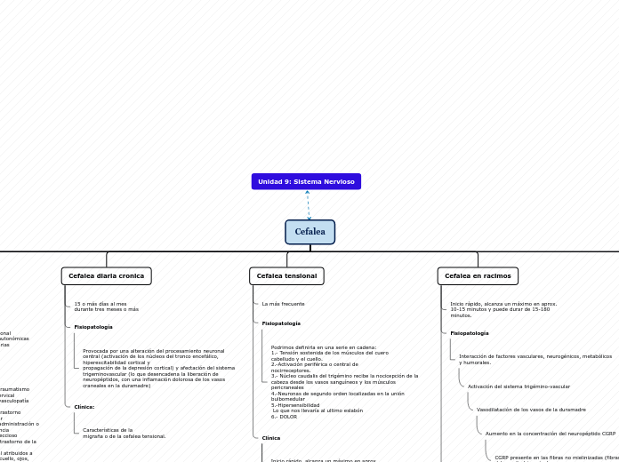 Organigrama arbol